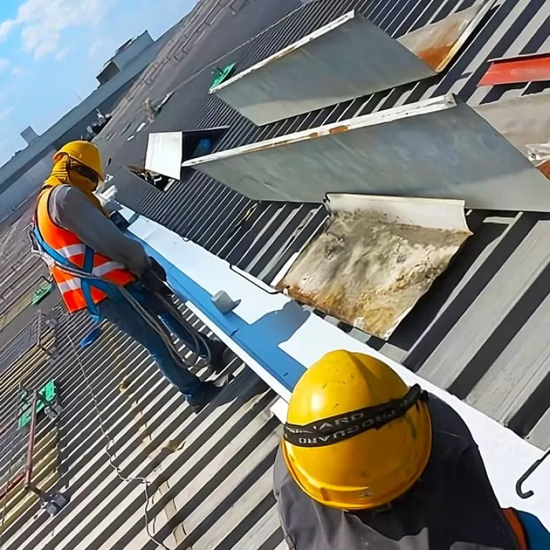 CELIHO | Home CELIHO|Home