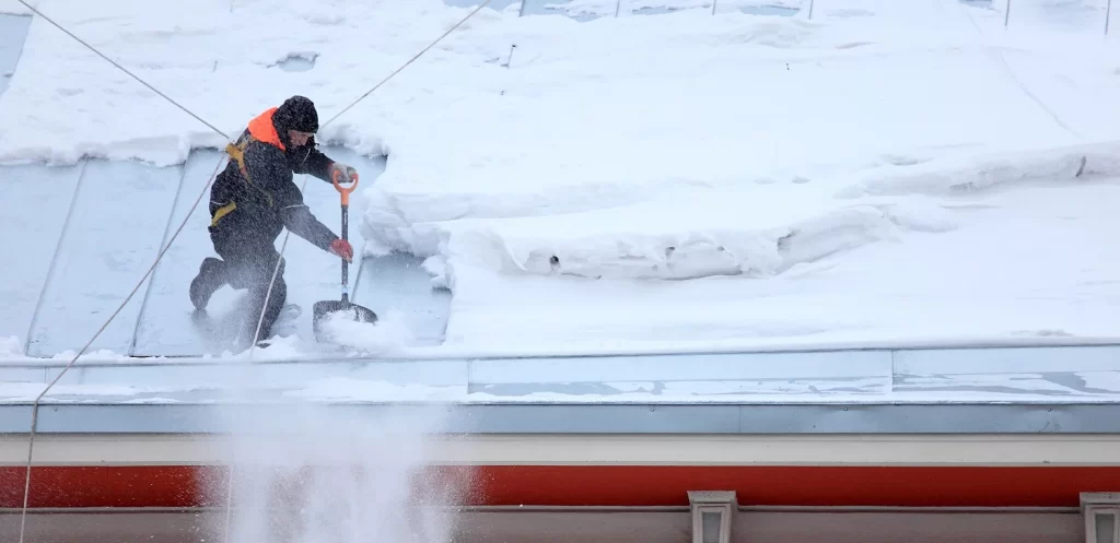 CELIHO | Home CELIHO|Home