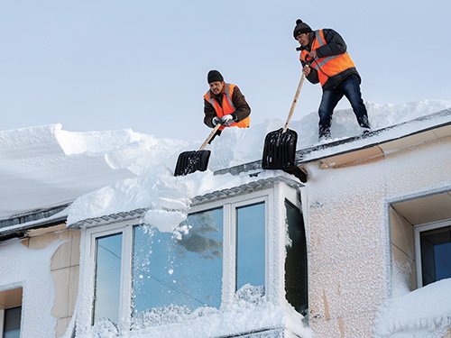 CELIHO | Home CELIHO|Home